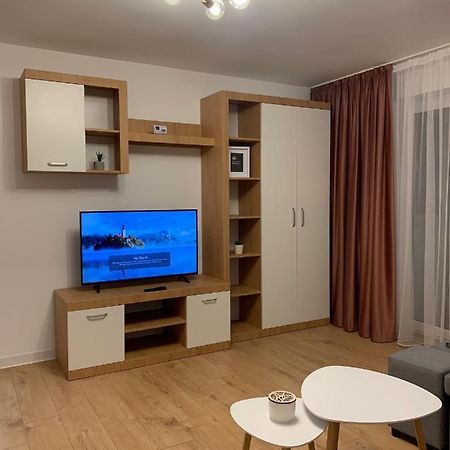 Sunny Apartment In Сучава Екстер'єр фото